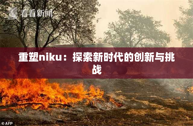 重塑niku：探索新时代的创新与挑战