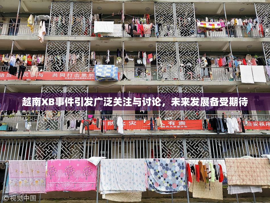 越南XB事件引发广泛关注与讨论，未来发展备受期待