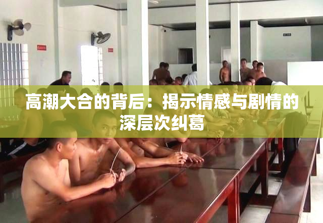 高潮大合的背后：揭示情感与剧情的深层次纠葛