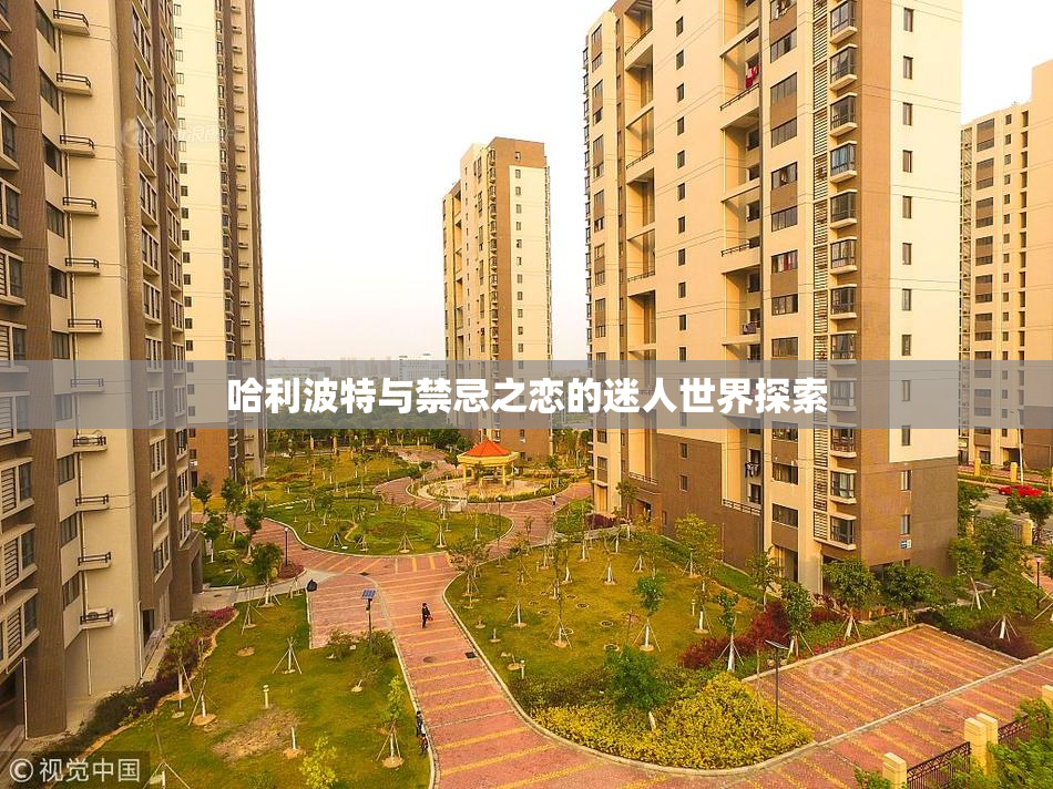 哈利波特与禁忌之恋的迷人世界探索