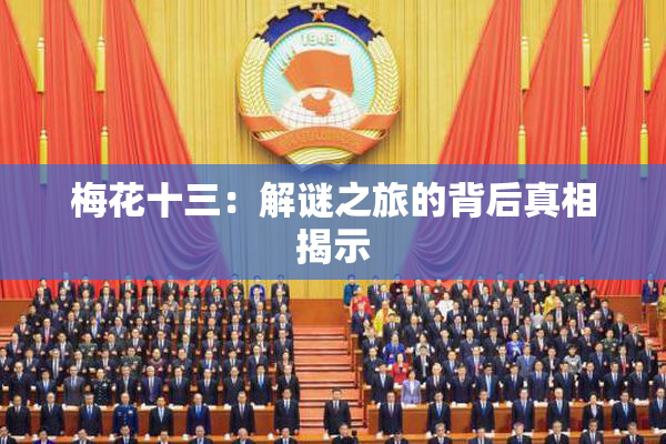 梅花十三：解谜之旅的背后真相揭示