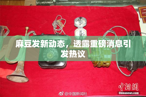 麻豆发新动态，透露重磅消息引发热议