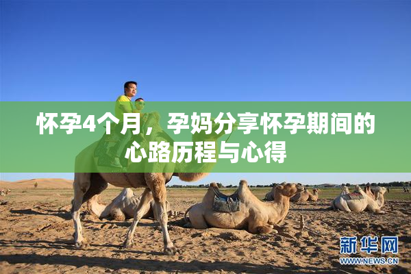 怀孕4个月，孕妈分享怀孕期间的心路历程与心得