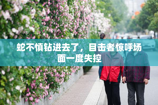 蛇不慎钻进去了，目击者惊呼场面一度失控