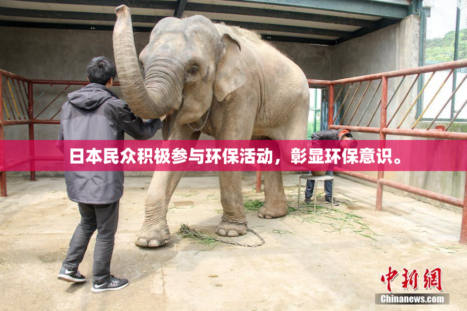 日本民众积极参与环保活动，彰显环保意识。