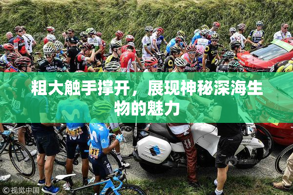 粗大触手撑开，展现神秘深海生物的魅力