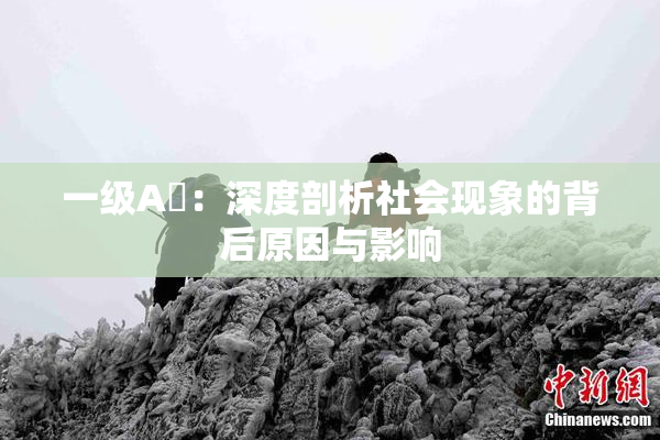 一级A婬：深度剖析社会现象的背后原因与影响