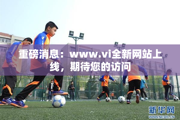 重磅消息：www.vi全新网站上线，期待您的访问