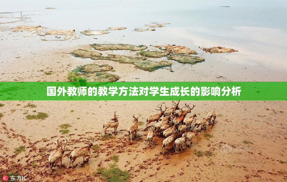 国外教师的教学方法对学生成长的影响分析