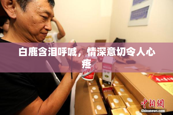 白鹿含泪呼喊，情深意切令人心疼