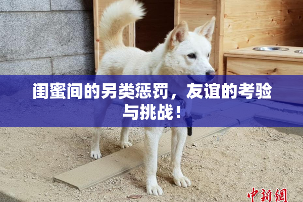 闺蜜间的另类惩罚，友谊的考验与挑战！