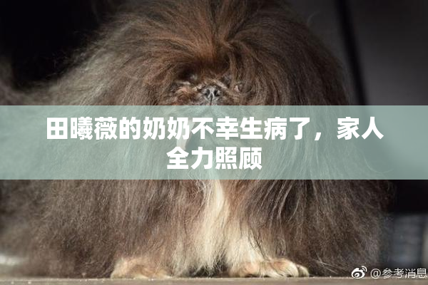 田曦薇的奶奶不幸生病了，家人全力照顾