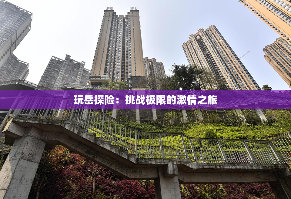 玩岳探险：挑战极限的激情之旅