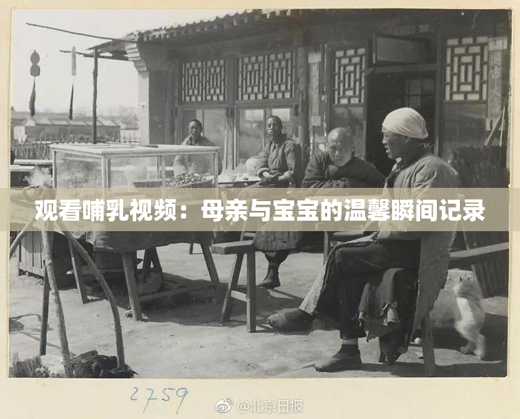观看哺乳视频：母亲与宝宝的温馨瞬间记录