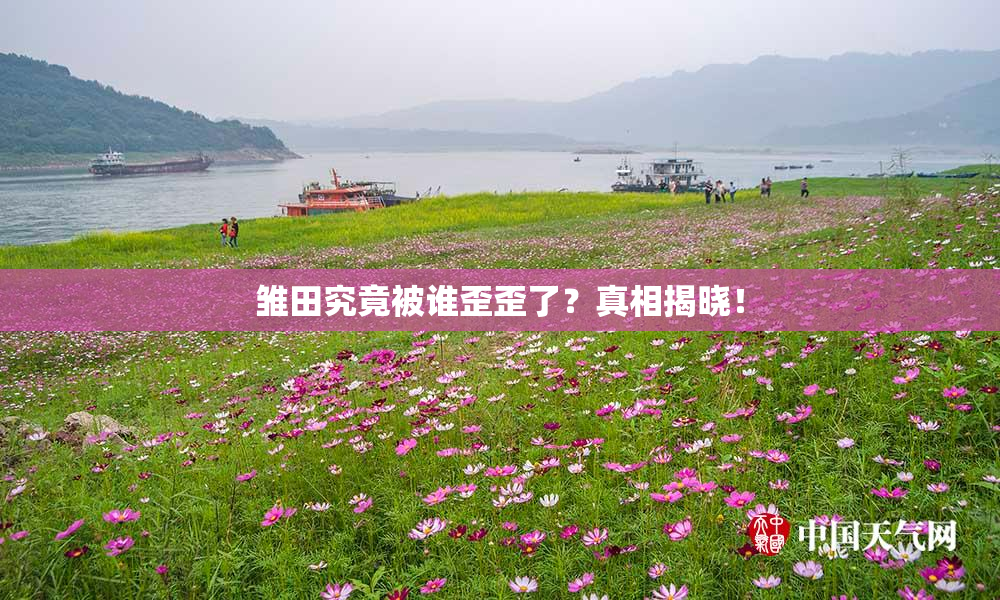 雏田究竟被谁歪歪了？真相揭晓！