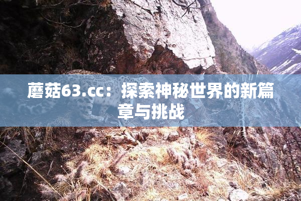 蘑菇63.㏄：探索神秘世界的新篇章与挑战