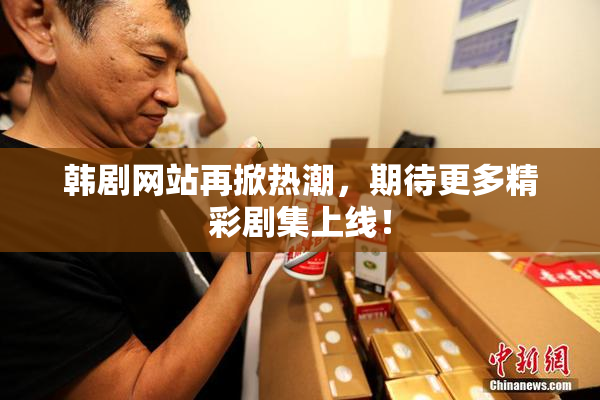 韩剧网站再掀热潮，期待更多精彩剧集上线！