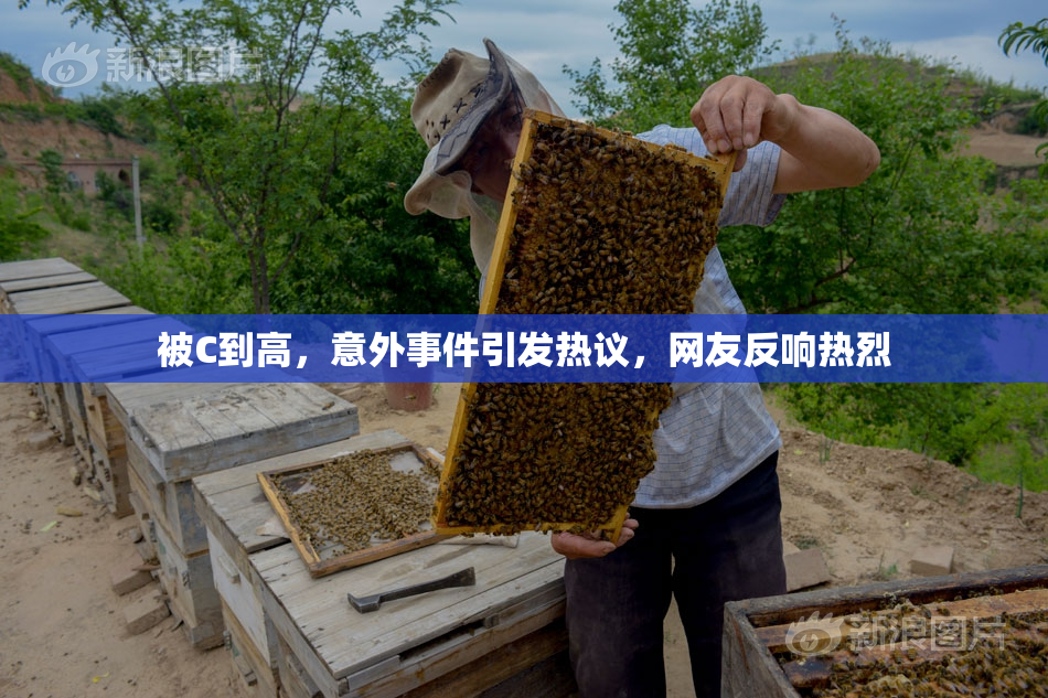 被C到高，意外事件引发热议，网友反响热烈