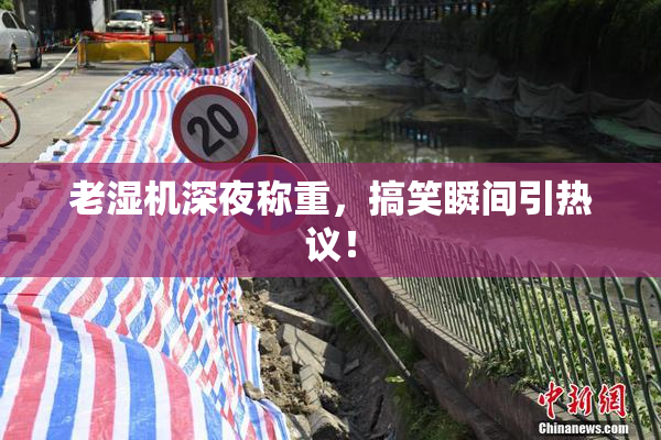 老湿机深夜称重，搞笑瞬间引热议！