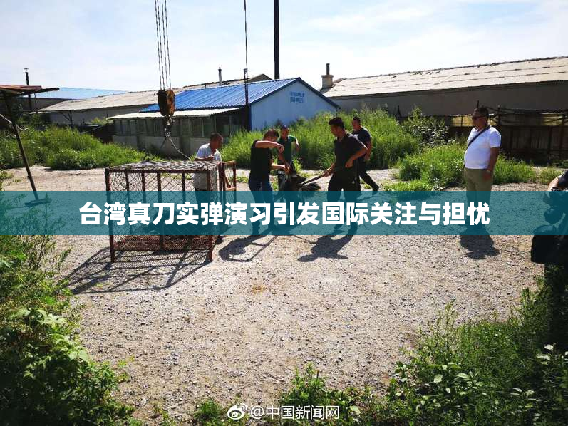 台湾真刀实弹演习引发国际关注与担忧
