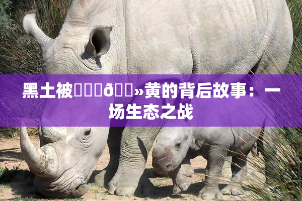 黑土被❌‌‌🐻黄的背后故事：一场生态之战