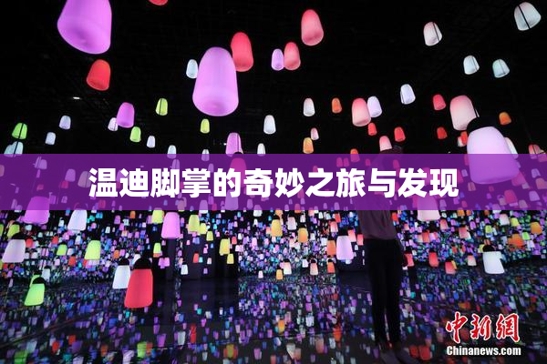 温迪脚掌的奇妙之旅与发现