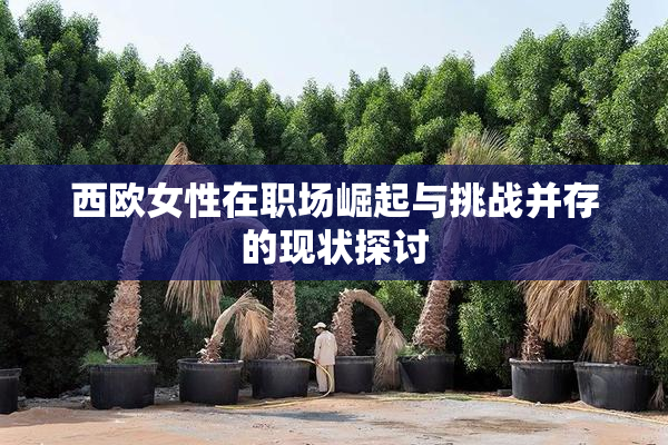 西欧女性在职场崛起与挑战并存的现状探讨