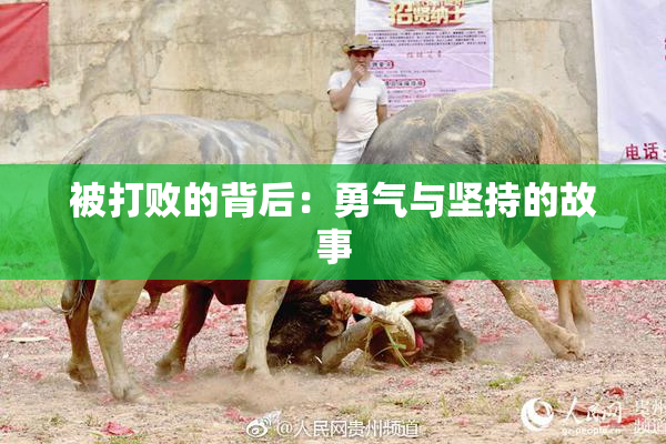 被打败的背后：勇气与坚持的故事