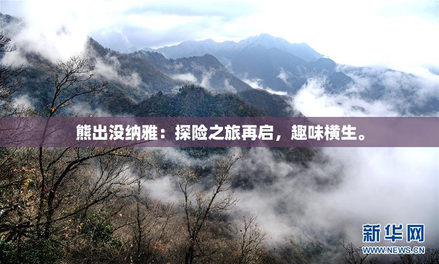 熊出没纳雅：探险之旅再启，趣味横生。