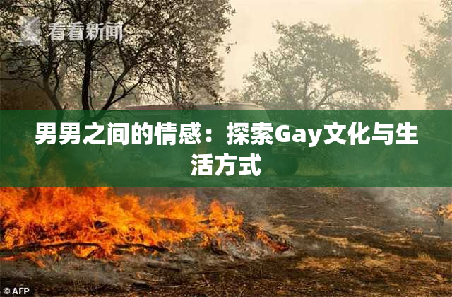 男男之间的情感：探索Gay文化与生活方式