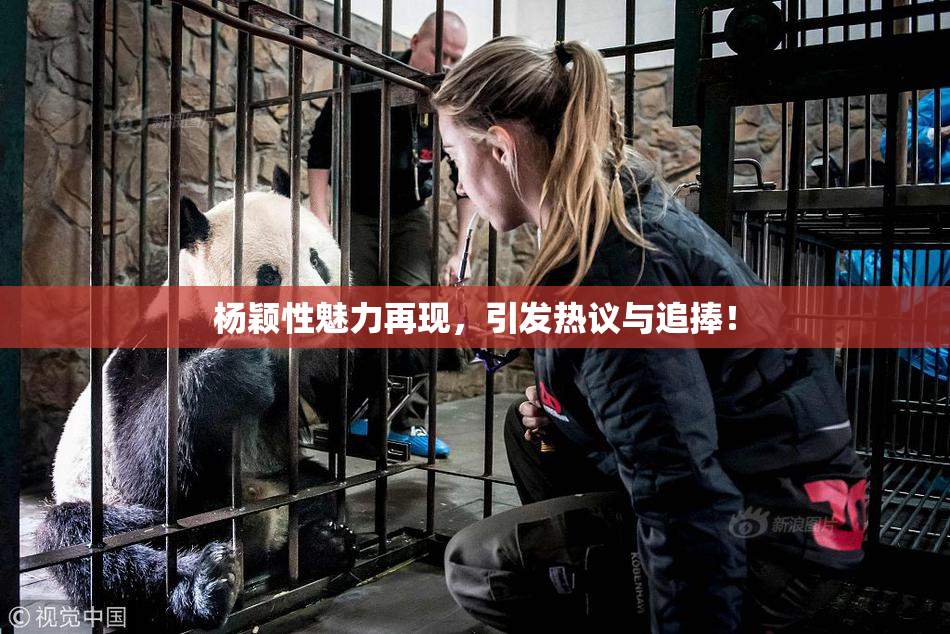 杨颖性魅力再现，引发热议与追捧！