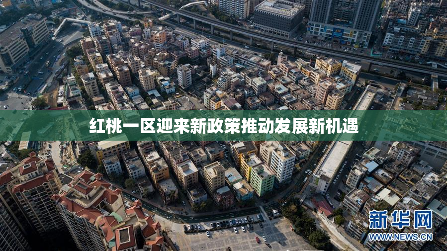 红桃一区迎来新政策推动发展新机遇