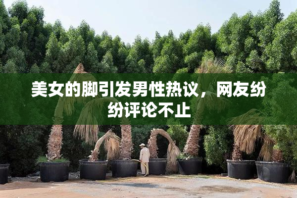 美女的脚引发男性热议，网友纷纷评论不止