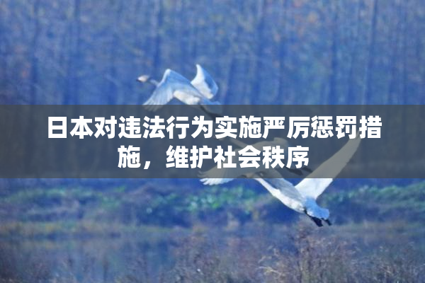 日本对违法行为实施严厉惩罚措施，维护社会秩序