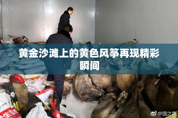 黄金沙滩上的黄色风筝再现精彩瞬间