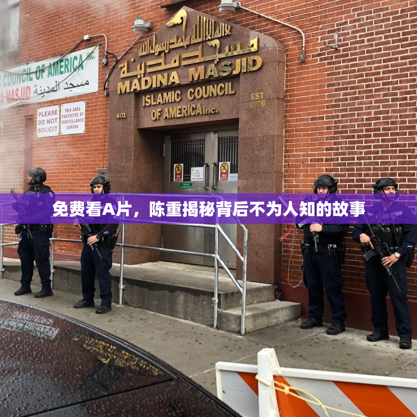 免费看A片，陈重揭秘背后不为人知的故事
