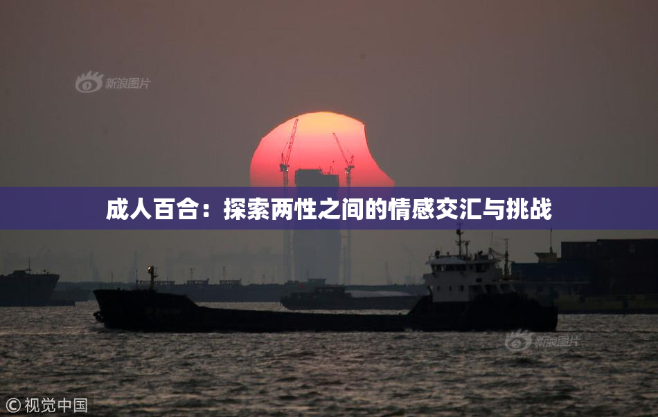 成人百合：探索两性之间的情感交汇与挑战
