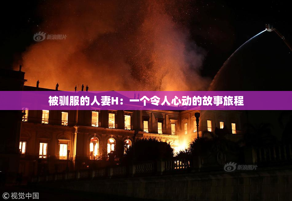 被驯服的人妻H：一个令人心动的故事旅程