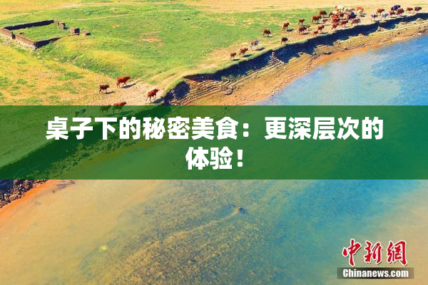 桌子下的秘密美食：更深层次的体验！
