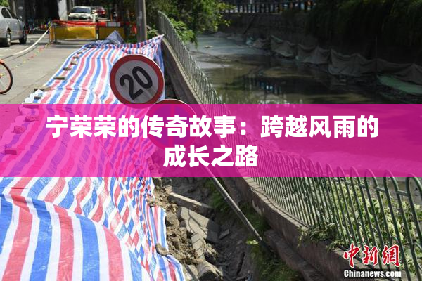 宁荣荣的传奇故事：跨越风雨的成长之路