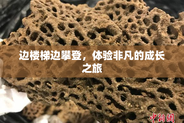 边楼梯边攀登，体验非凡的成长之旅