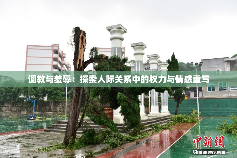 调教与羞辱：探索人际关系中的权力与情感重写