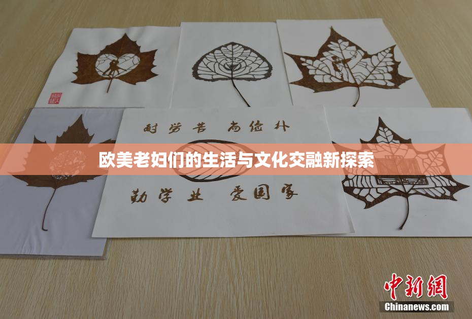欧美老妇们的生活与文化交融新探索