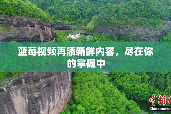 蓝莓视频再添新鲜内容，尽在你的掌握中