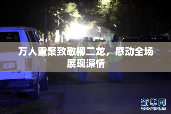 万人重聚致敬柳二龙，感动全场展现深情