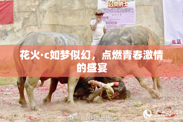 花火·c如梦似幻，点燃青春激情的盛宴