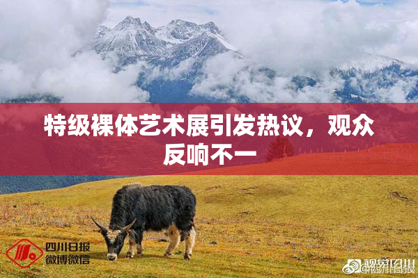 特级裸体艺术展引发热议，观众反响不一