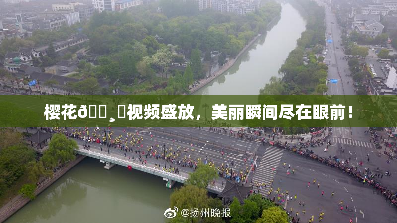 樱花🌸‌视频盛放，美丽瞬间尽在眼前！