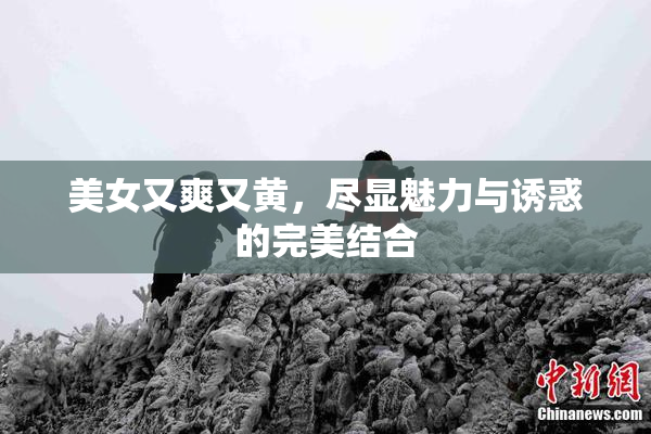 美女又爽又黄，尽显魅力与诱惑的完美结合