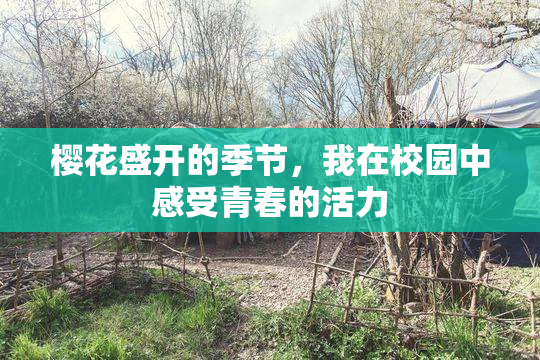 樱花盛开的季节，我在校园中感受青春的活力